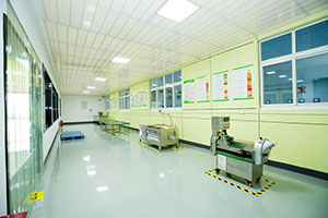 蔬菜粗加工设备