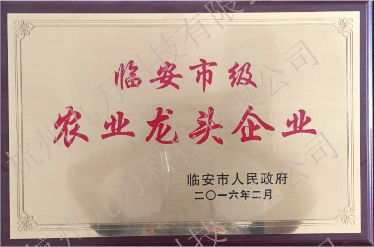 职业健康安全管理体系认证